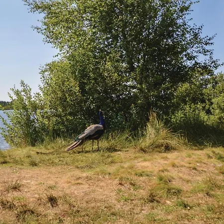 Four-bedroom Holiday In Semesterbostad Ansager